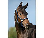Foal- and Shetland Pony Headcollar Blaire