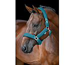 Mesh Headcollar Airflow