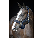 Mesh Headcollar Airflow