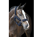 Mesh Headcollar Airflow