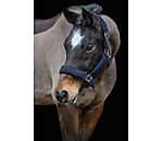 Mesh Headcollar Airflow