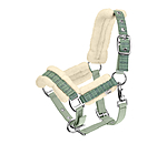 Foal and Shetland Pony Headcollar Shine
