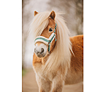 Foal and Shetland Pony Headcollar Shine