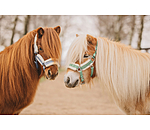 Foal and Shetland Pony Headcollar Shine