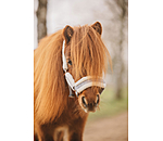 Foal and Shetland Pony Headcollar Shine