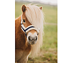 Foal and Shetland Pony Headcollar Shine