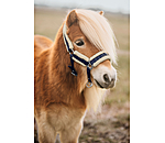 Foal and Shetland Pony Headcollar Shine
