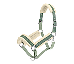 Headcollar Shine