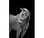 Headcollar Shine