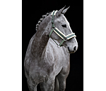 Headcollar Shine