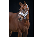 Headcollar Shine
