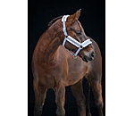 Headcollar Shine