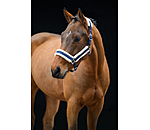 Headcollar Shine