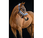 Headcollar Shine