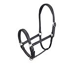SHOWMASTER Foal and Shetland Pony Headcollar Siri