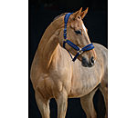 Headcollar Soft Velvet