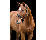 Headcollar Soft Velvet