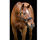 Headcollar Soft Velvet