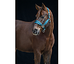 Headcollar Soft Velvet