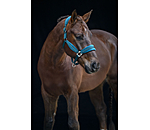 Headcollar Soft Velvet