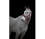 Headcollar Soft Velvet