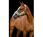Headcollar Soft