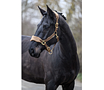 Teddy Fleece Headcollar