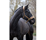 Teddy Fleece Headcollar