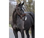 Teddy Fleece Headcollar