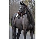 Teddy Fleece Headcollar