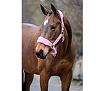 Teddy Fleece Headcollar
