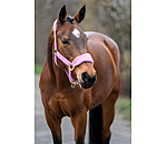 Teddy Fleece Headcollar