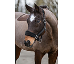 Teddy Fleece Headcollar