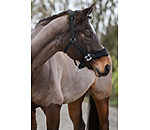 Teddy Fleece Headcollar