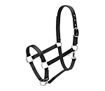 Safety Headcollar