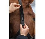 Safety Headcollar