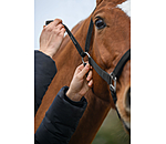 Safety Headcollar