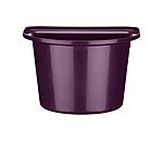 Black Violet