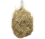 Haynet