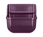 Black Violet