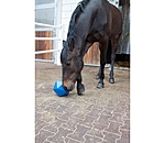 Treat and Activity Ball