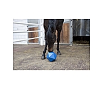 Treat and Activity Ball