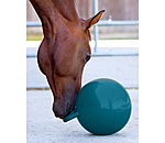 Horse Play Ball