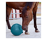 Horse Play Ball