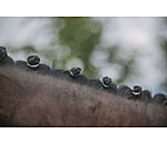 Wide Mane Plaiting Bands