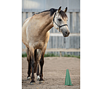 Cones for Ground Work