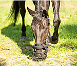 Grazing Muzzle Gently