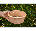 Muesli Bowl Eco