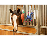 Horse Toy Carrot