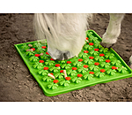 Sniffing Mat Horse
